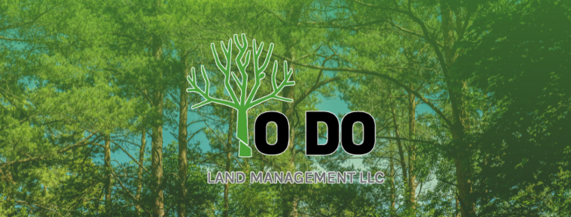 To Do Land Management LLC